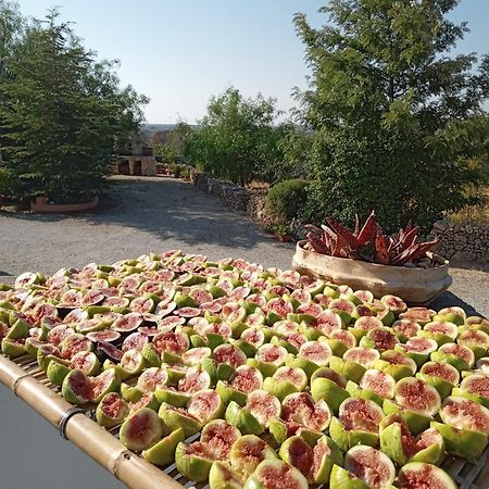 Bed and Breakfast Oniro Specchia Exterior foto